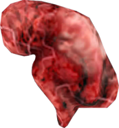 Modelo del feto de Dios.png (54 kB) El feto de Dios