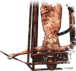 Мэри в Pachislot