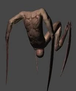 Diseño del Needler.