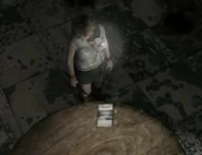 El folleto de turismo encontrado en Silent Hill 3.