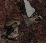 La foto de una madre, un padre, una hija y un hermano (los cuales corresponden a la familia de Angela).