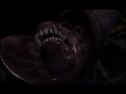 Otra toma cercana del Split Worm.