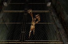 Мандарин вынужден вечно висеть под землёй без возможности выбраться