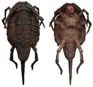 Roachsh.jpg (28 kB) Modelo de la película.