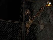 Un Mandarin en el Túnel oscuro.