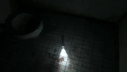 La linterna en el baño.