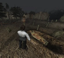 Тот самый гроб в Мире леса