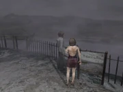 Henry y Eileen observan en el Lago Toluca.