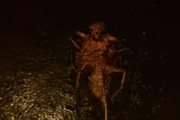 Un Creeper en la película.