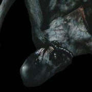 Un vistazo cerca de la cara de Sepulcher.