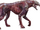 Feral
