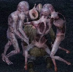 Raw Shoks Atrofiados.