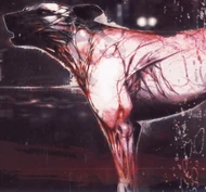 Il cane di Paint It Black