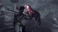 Un Feral all'attacco