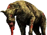 Sniffer Dog