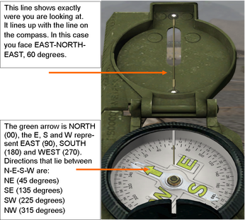 Compass 1