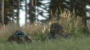 Arma 2 Sniper Team 2.jpg