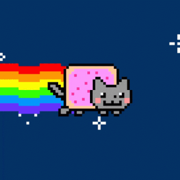 Rainbow toast cat discount