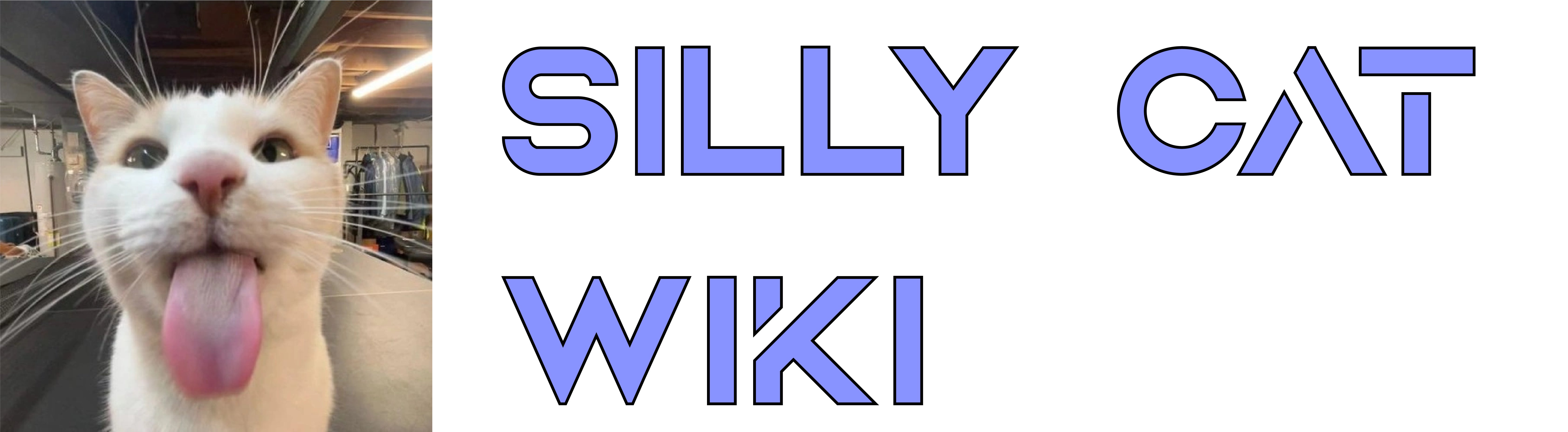 Silly Cat Wiki