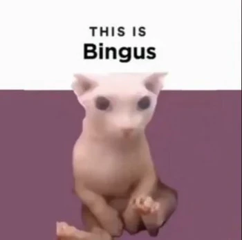 Bingus | Silly Cat TV Series Wiki | Fandom