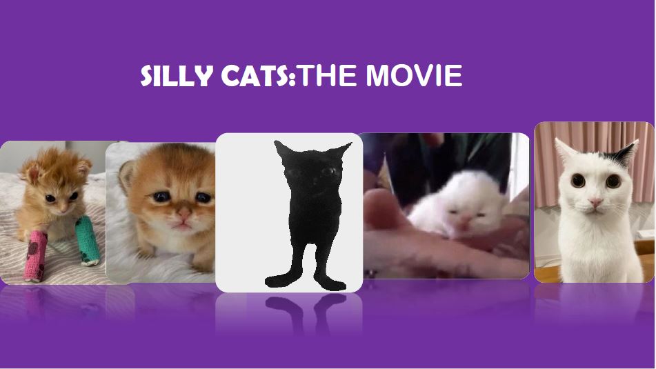 Funny cats movie sale