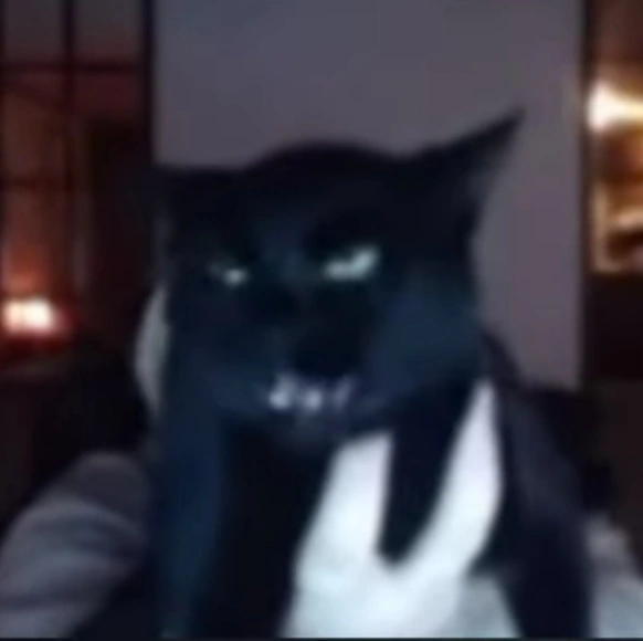 KittyOh | Silly Cat TV Series Wiki | Fandom