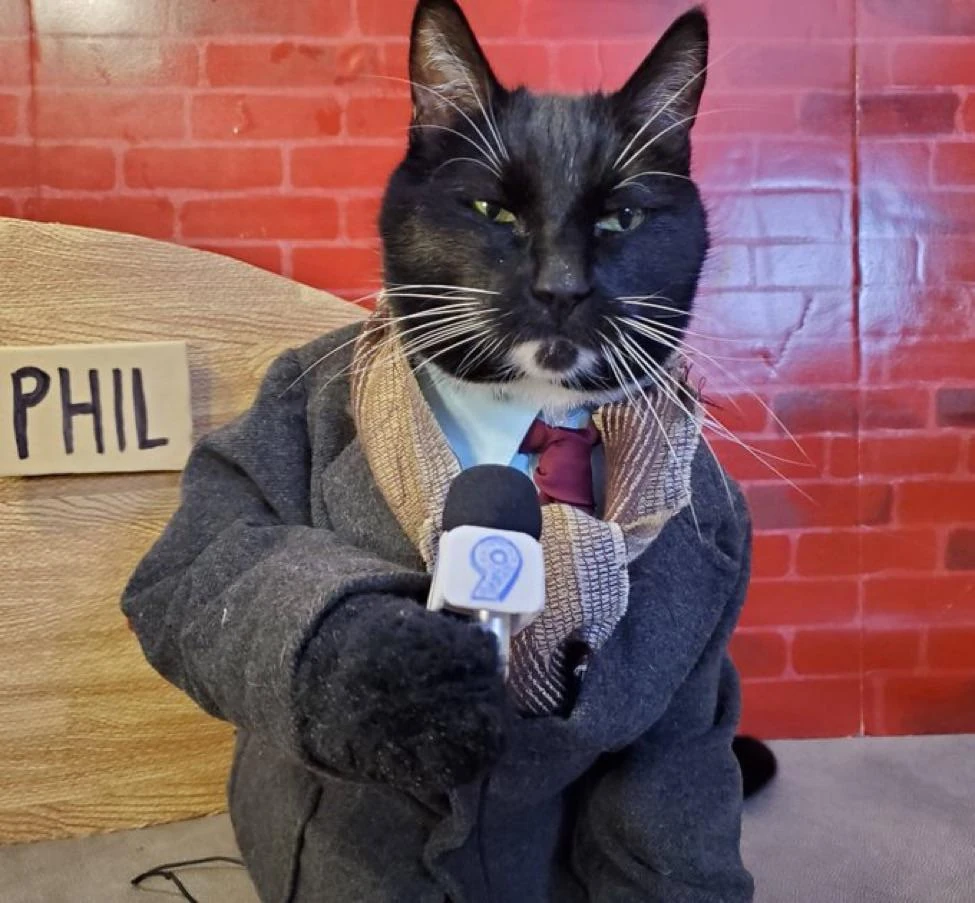 Johntavion | Silly Cat TV Series Wiki | Fandom