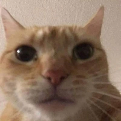 Plimpus | Silly Cat TV Series Wiki | Fandom