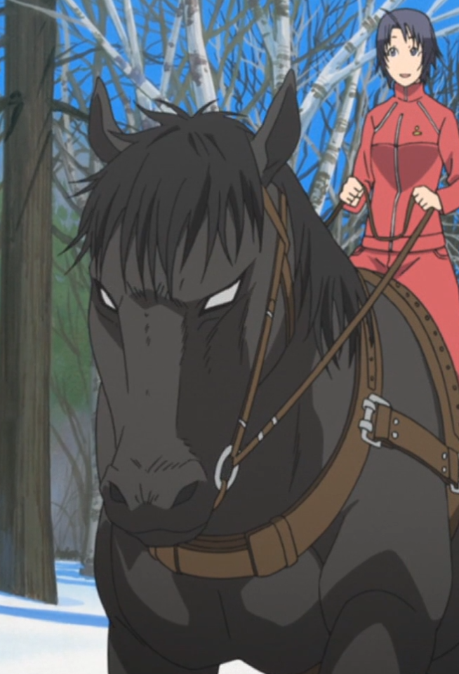 Sword Art Online Holds Virtual Reality Horse Races  Interest  Anime News  Network