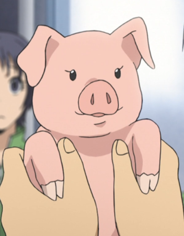 cartoon of pig anime