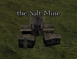 The Salt Mine