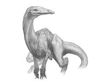 Saurian