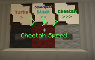 Cheetah Speed >>>