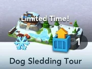 Dog Sledding Tour