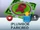 (PLUMBOB PARK)RED