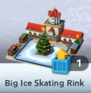 Big Ice Skating Rink