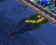 Giant's Causeway at night.