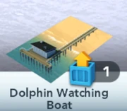 Dolphin Watching Boat