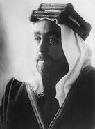 Sheikh suleiman