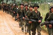 FARC-SOLDIERS