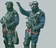 2 Arendalean SWAT personnel