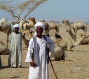 Bedouin