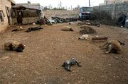 130423-syria-chemical-weapons-9a