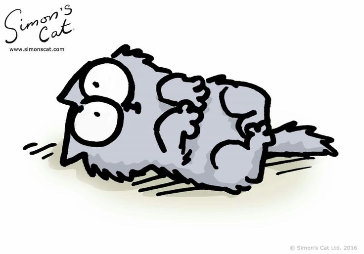 Featured image of post Simonscat Simon s Cat Welcome to our official instagram account