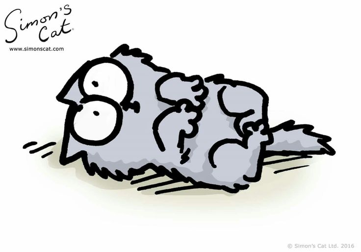 The Kitten Simon S Cat Wiki Fandom