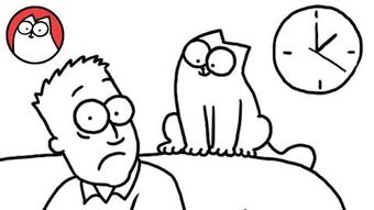A day in the life of a sales cat