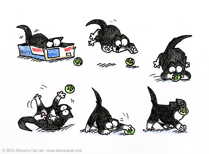 Jazz, Simon's Cat Wiki