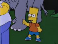 Bart Gets an Elephant 95