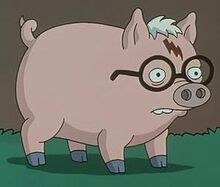 Harry Plopper.jpg