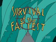 Survival of the Fattest